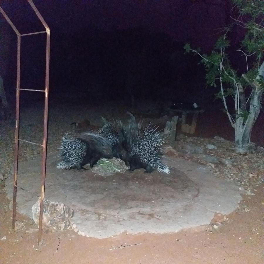 Porcupine Camp Kamanjab Hotel Buitenkant foto